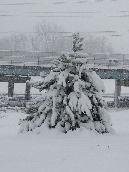 winter 4