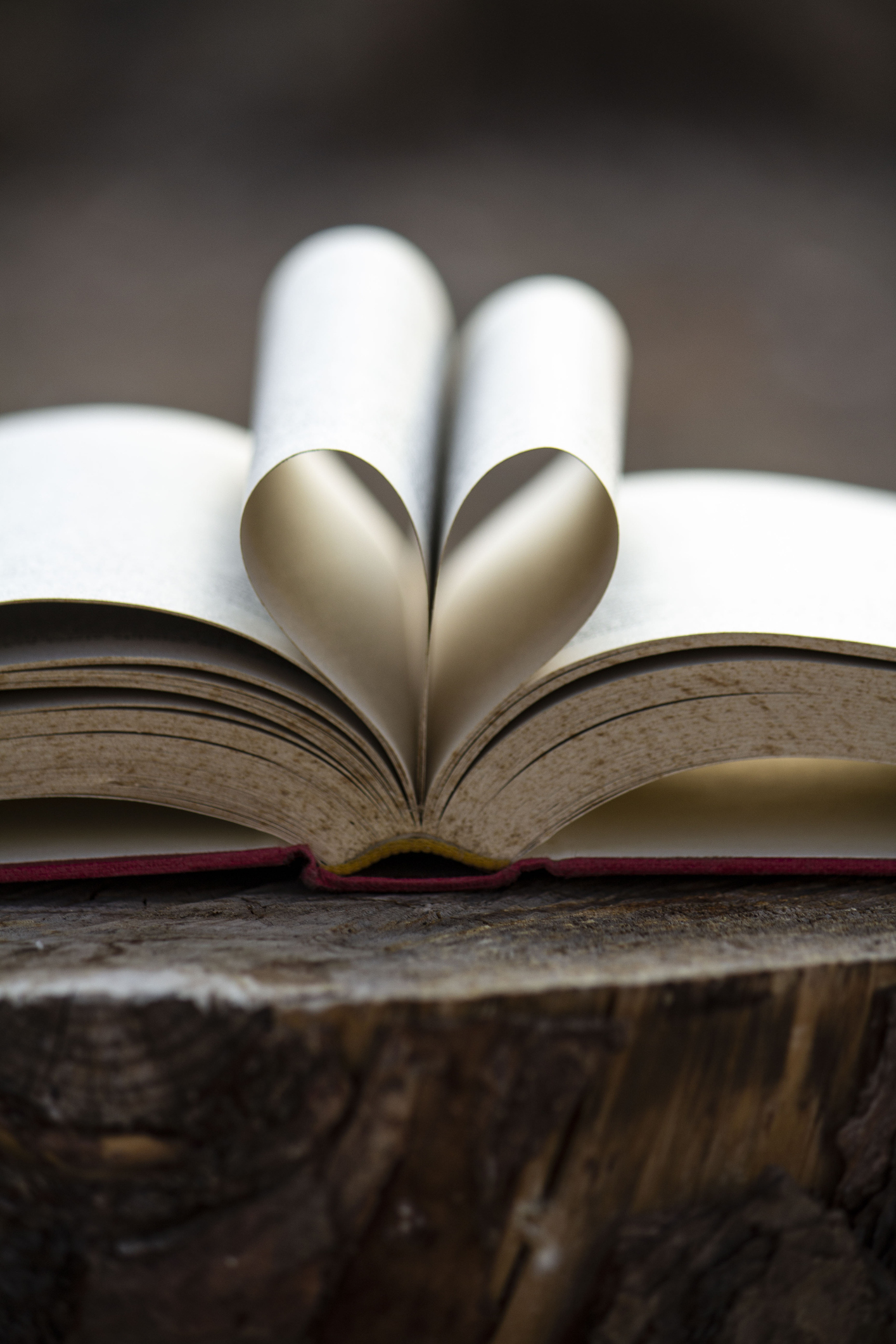 A heart for reading